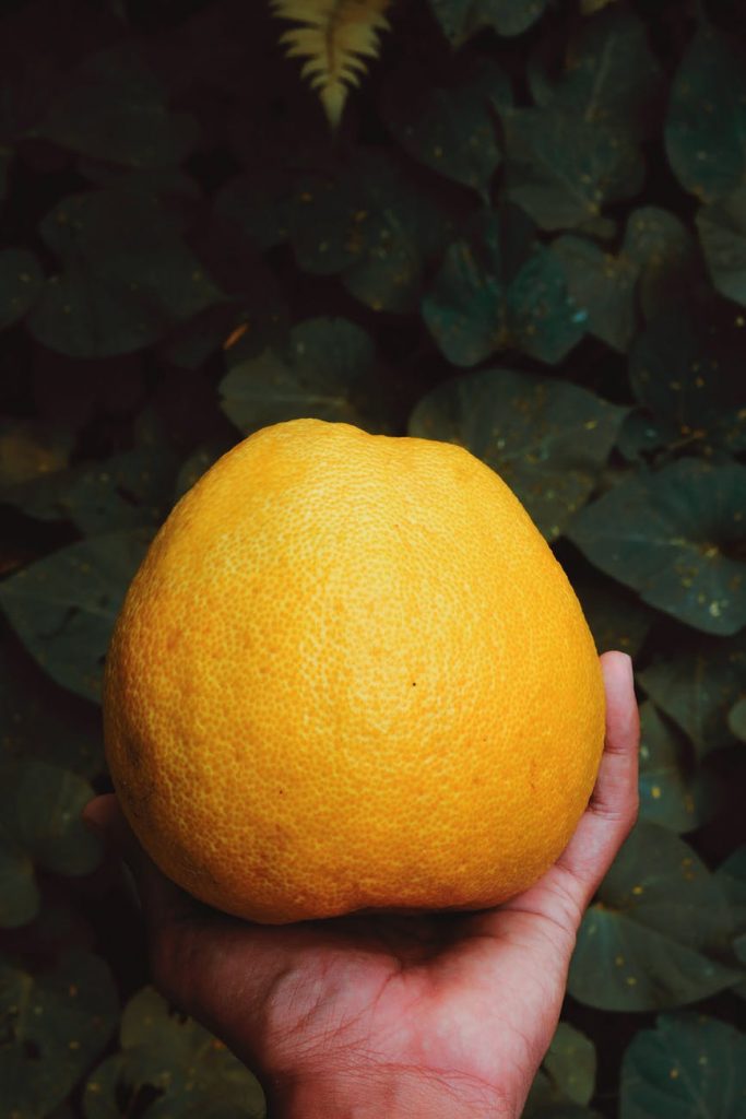 Decouvrez l’importance du pomelo