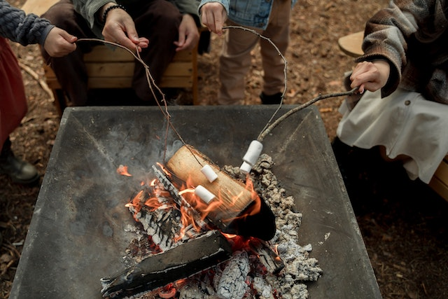 Redecouvrez la magie de la cuisson a la braise pour des saveurs authentiques